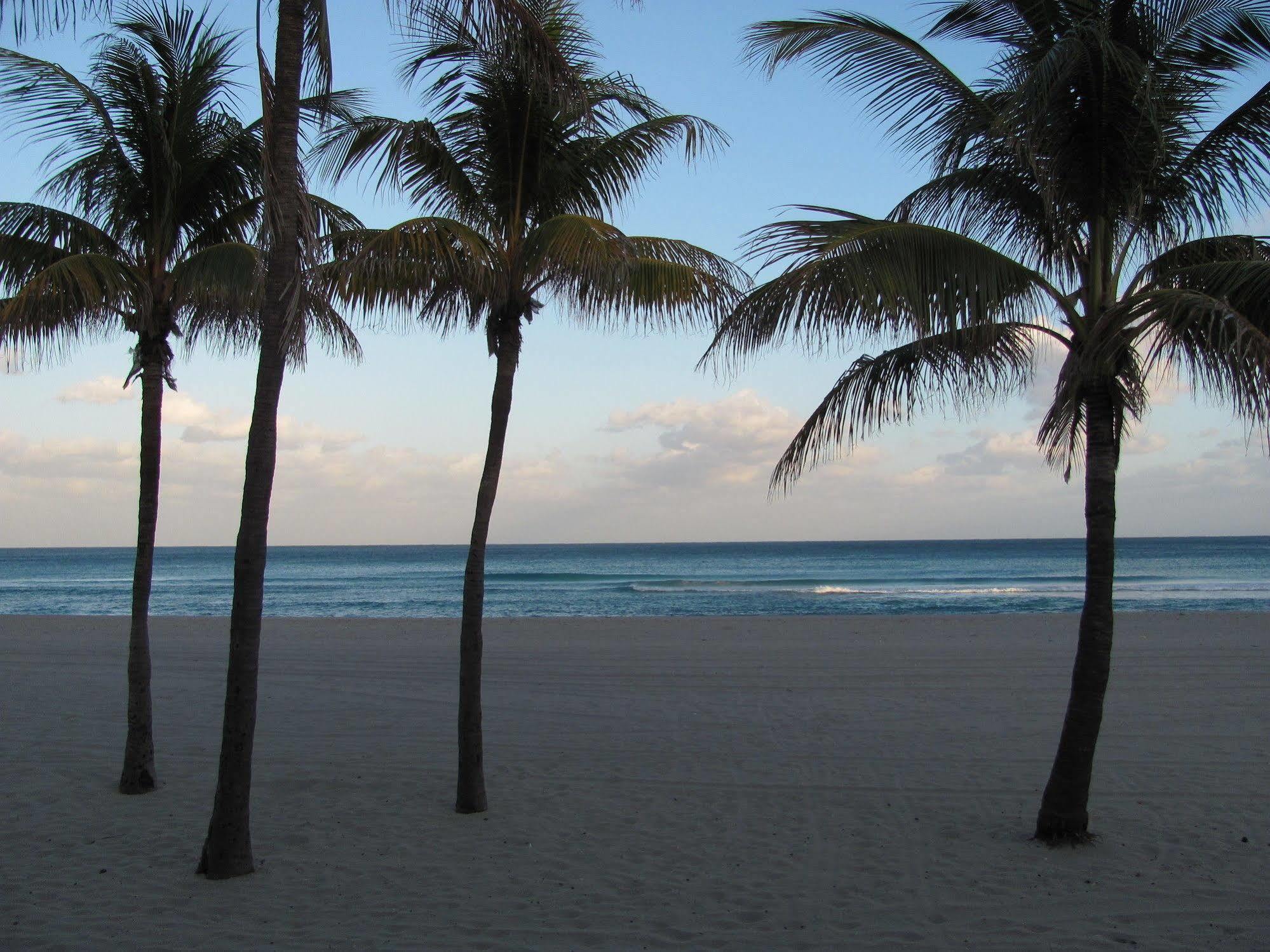 Enchanted Isle Hollywood Beach Resort 外观 照片